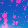 LightBlue Pink